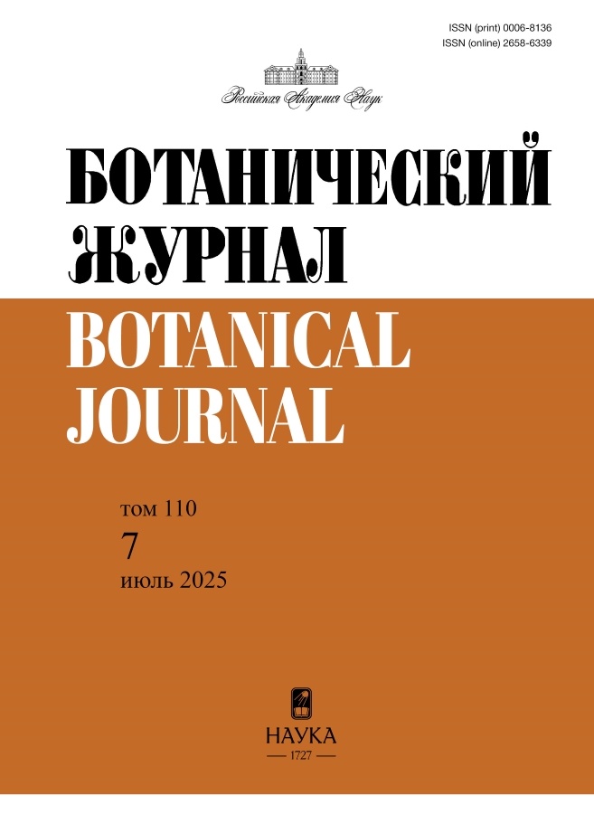 Page Header Logo