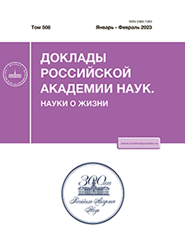 Page Header Logo