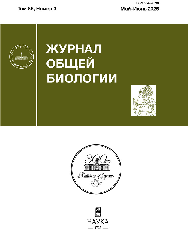 Page Header Logo