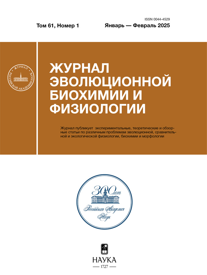 Page Header Logo