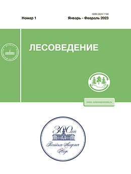 Page Header Logo