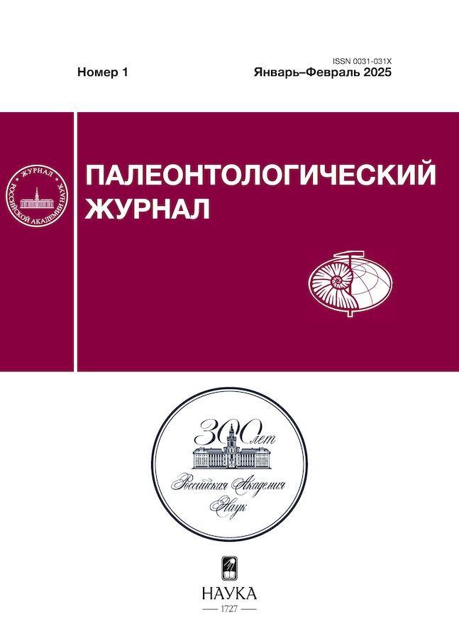 Page Header Logo