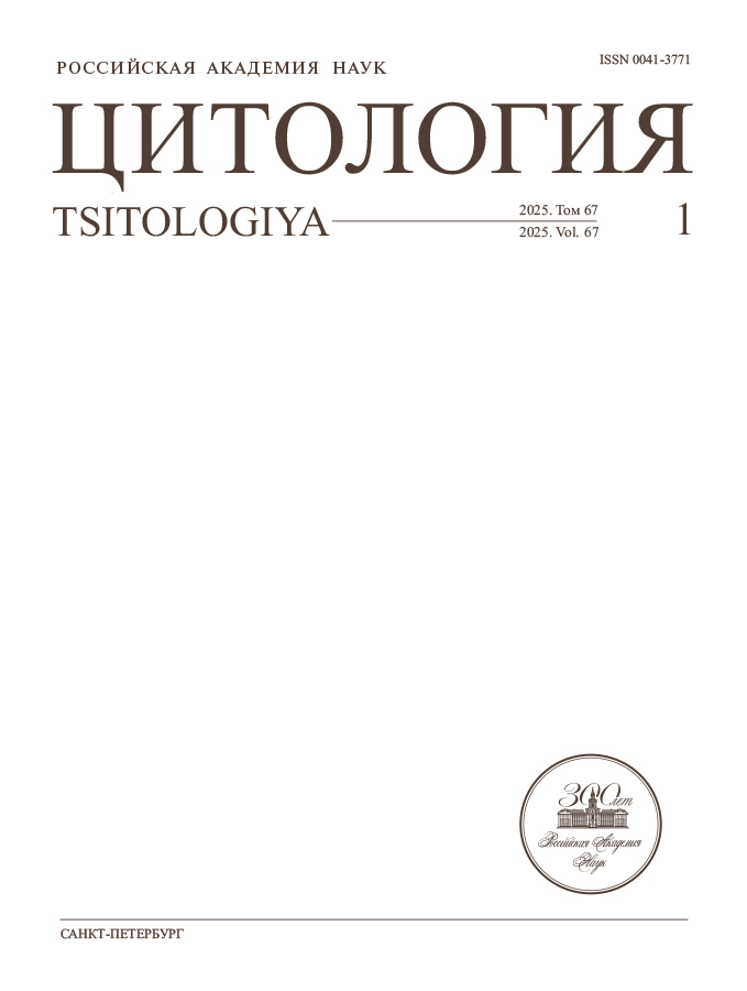 Page Header Logo