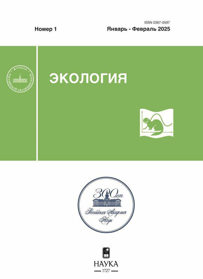 Page Header Logo