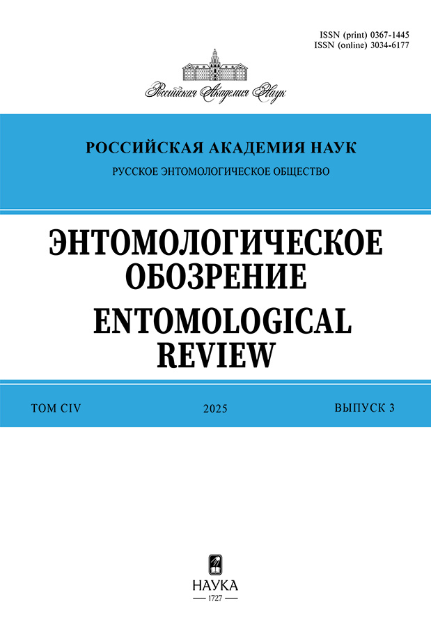 Page Header Logo