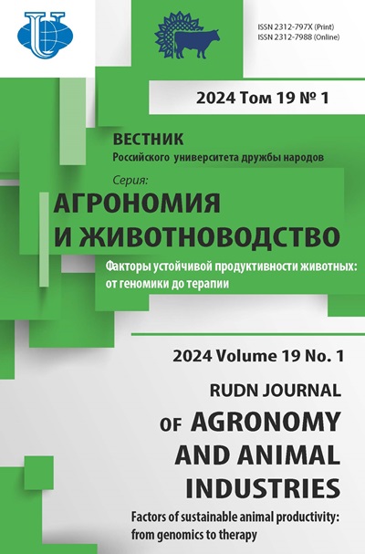Логотип Заголовка Страницы