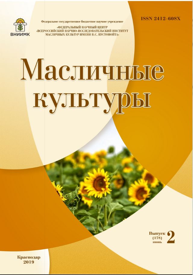 Логотип Заголовка Страницы