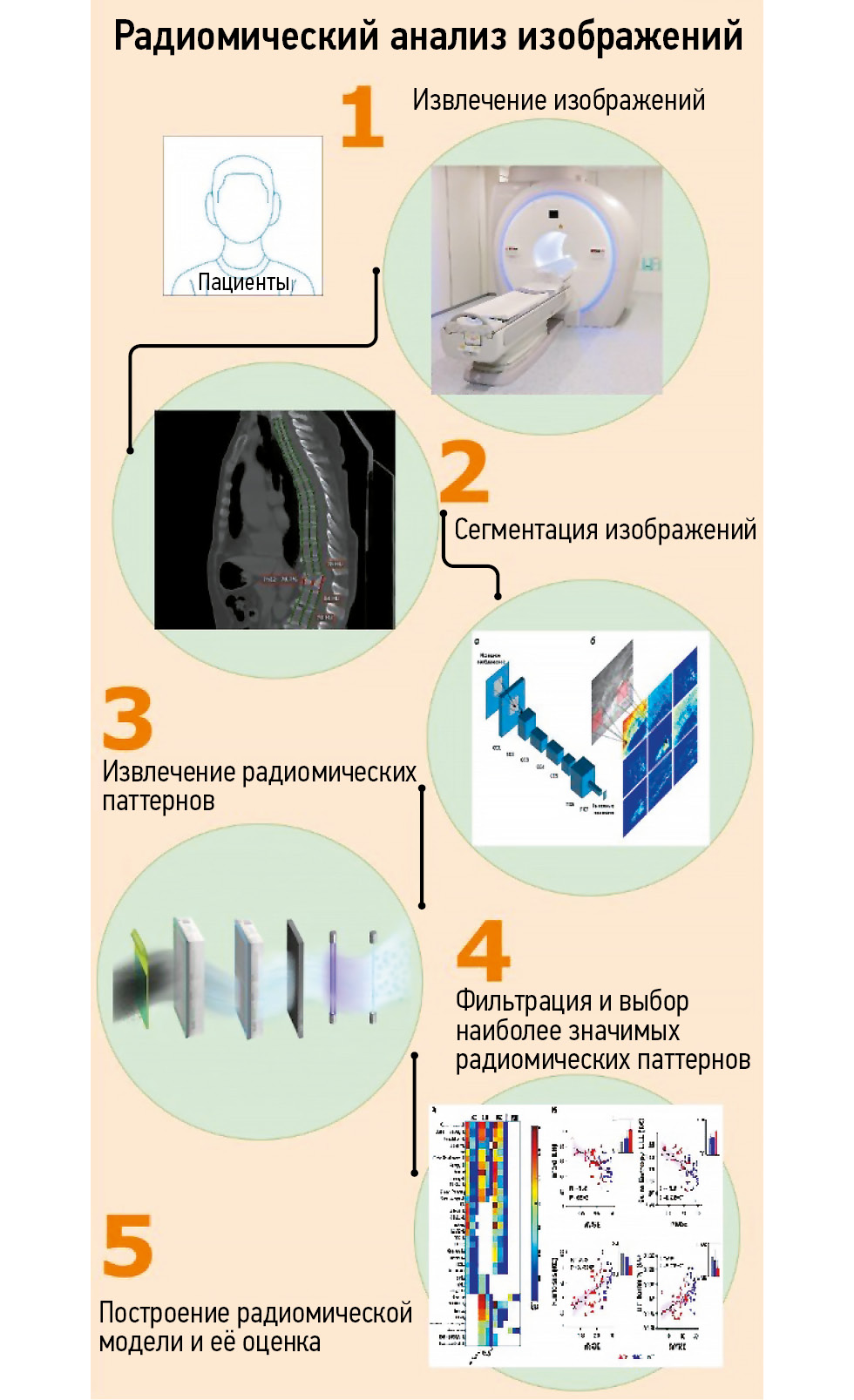 应用放射组学识别骨质疏松症—当前的可能性和前景: 科学综述